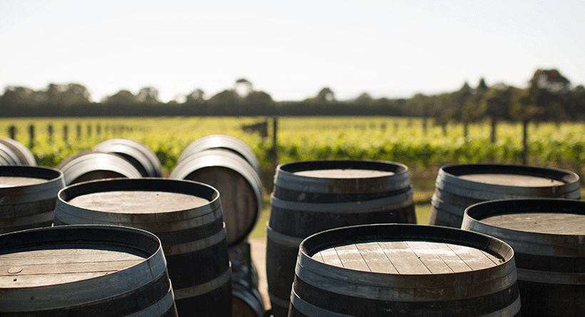 Ten Minutes by Tractor Vineyard Barrels